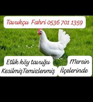TAVUKÇULUĞUN MARKASI TAVUKÇU FAHRİ